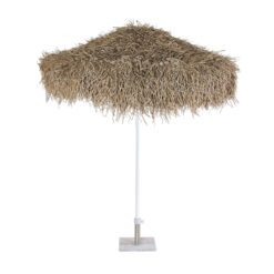 02. SEAGRASS Α Φ200