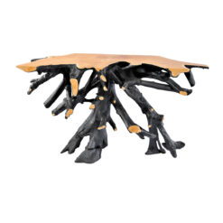 _0031_PRIMITIVE_CONSOLE_120_130799_BLACK